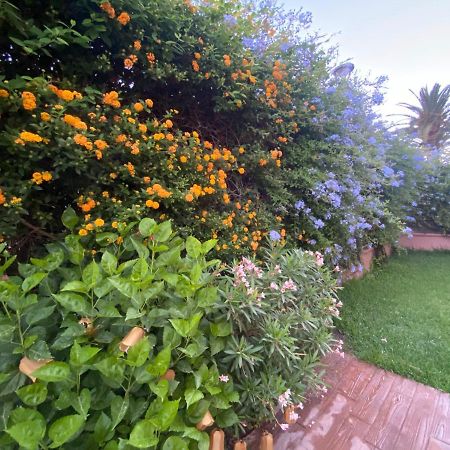 Apartamento Jardin Sanlucar 산루카데바라메다 외부 사진