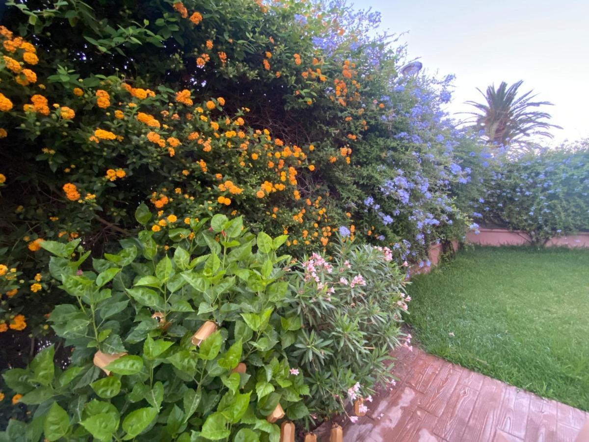 Apartamento Jardin Sanlucar 산루카데바라메다 외부 사진